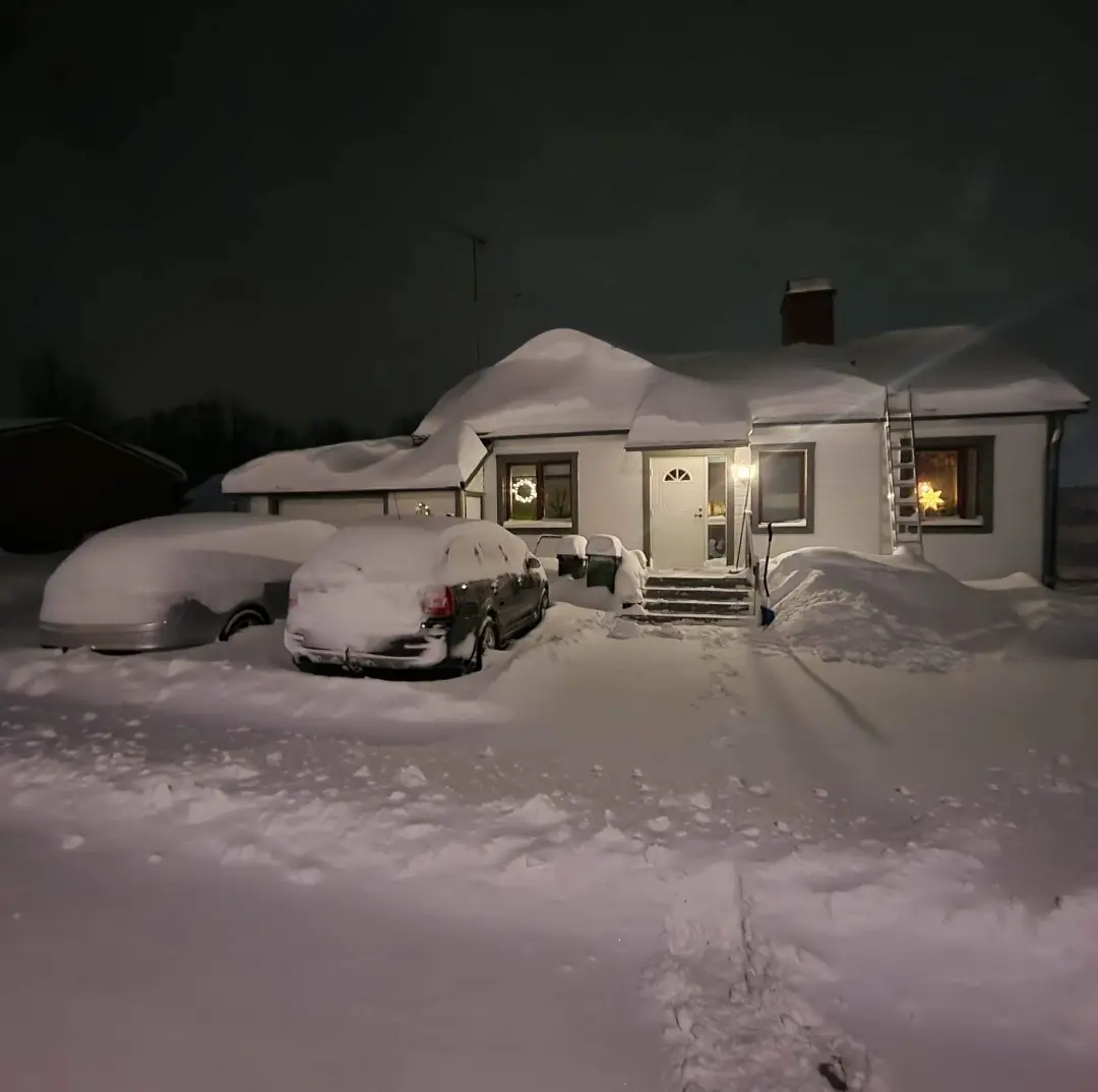 Välventilerad Fasad med Vertikal Glespanel