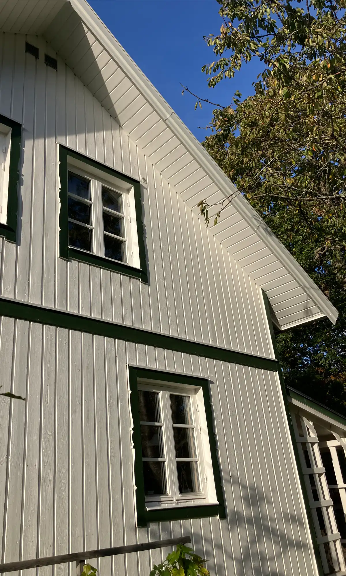 Panel under simsarna på äldre hus